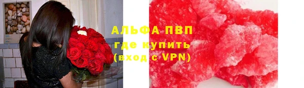 гашик Аркадак