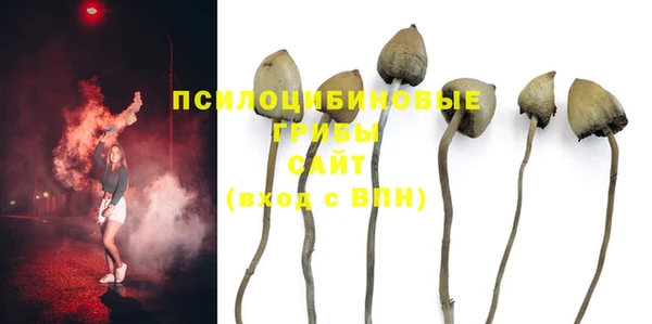 мяу мяу мука Армянск