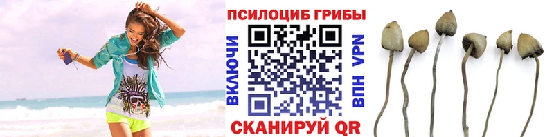 Галлюциногенные грибы GOLDEN TEACHER  Котельники 